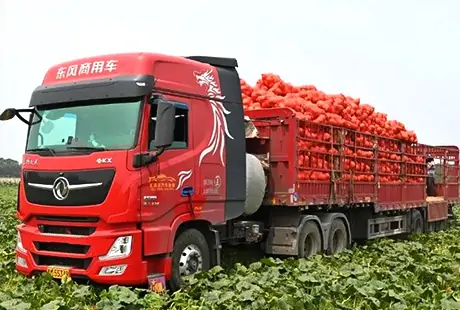 Provider of One-stop Trailer Manufacturer-flatbed trailer_skeletal trailer_low bed trailer_dump trailer_cargo trailer-Shandong Jiuzhou Automobile Manufacturing Co., Ltd. Provider of One-stop Trailer Manufacturer-flatbed trailer_skeletal trailer_low bed trailer_dump trailer_cargo trailer-Shandong Jiuzhou Automobile Manufacturing Co., Ltd.
